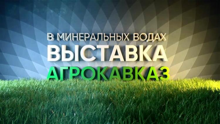 На Ставрополье «АгроКавказ 2024» познакомит с новыми технологиями