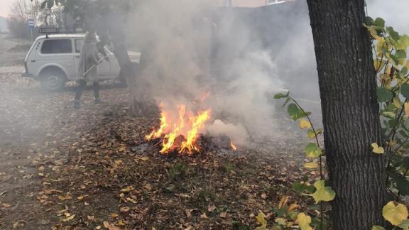 В Железноводске оштрафовали любителей жечь костры из листвы