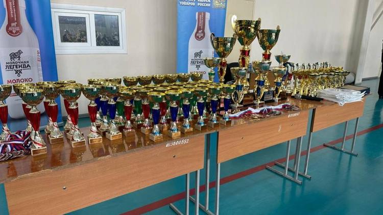 Чемпионат и Первенство Ставрополья по кикбоксингу стартовали в Кисловодске