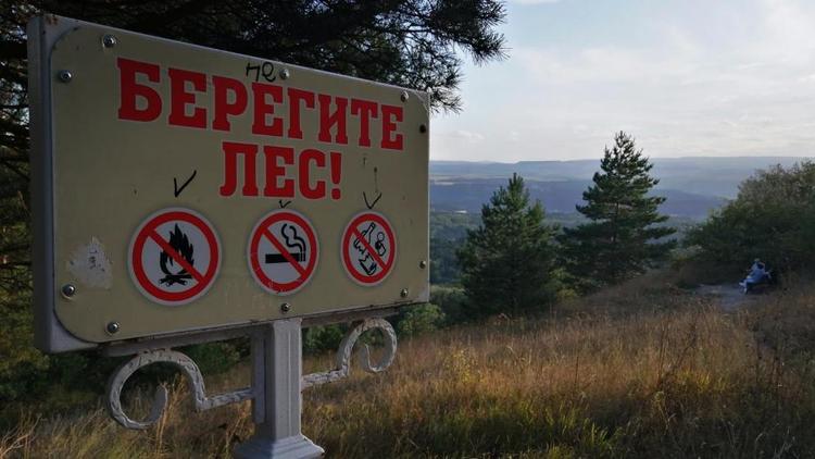 Пожароопасные ситуации в лесах Ставрополья будут отслеживать беспилотники